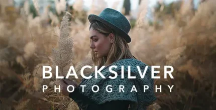 Blacksilver Photography Theme for WordPress With Lifetime Update