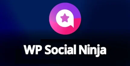 WP Social Ninja Pro 3.13.1 With Lifetime Update.
