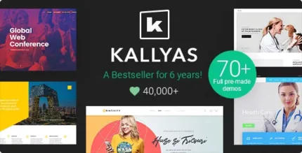 KALLYAS 4.19.2 Responsive Multi-Purpose WordPress Theme With Lifetime Update.