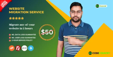 Website Migration Service